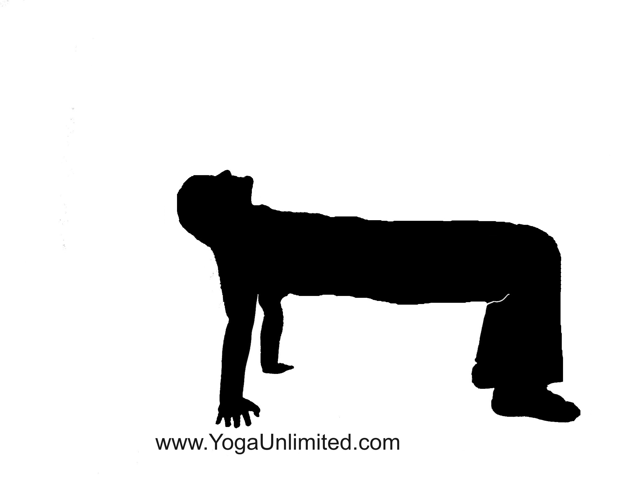 Table Pose - for a good Night's Sleep, even on Christmas Eve